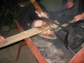 tn_2079.jpg