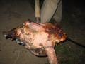 tn_2082.jpg