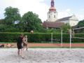 tn_8432.jpg