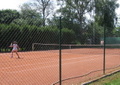 tn_8474.jpg